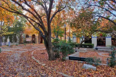 The facilities at Laurel Ridge Treatment Center in San Antonio, TX 2